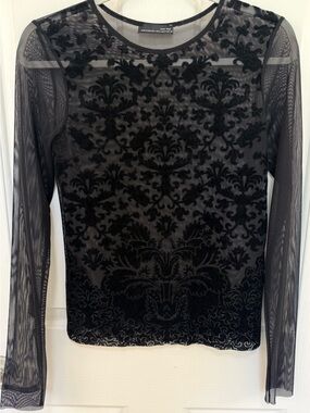 Zara Sheer Black Mesh Burnout Long-Sleeve Top
